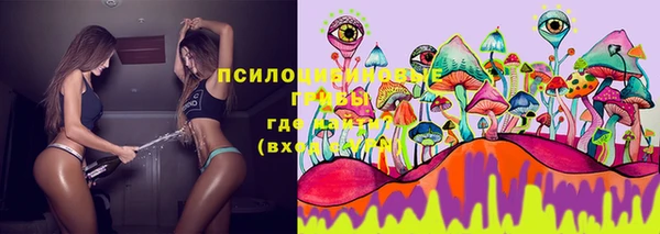 гидра Абинск