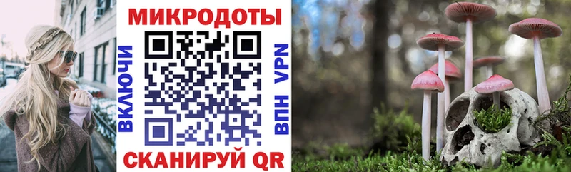 Галлюциногенные грибы Psilocybine cubensis  купить наркотики цена  мега рабочий сайт  Отрадный 