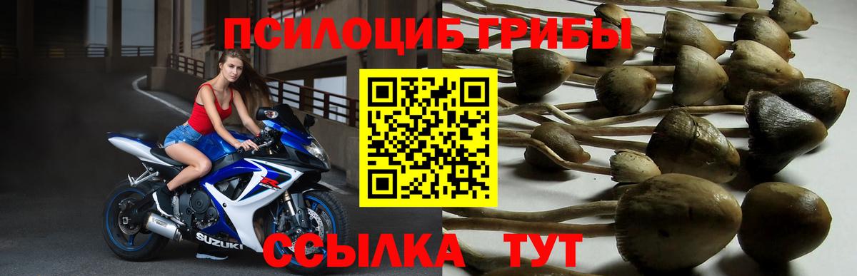Галлюциногенные грибы прущие грибы Отрадный